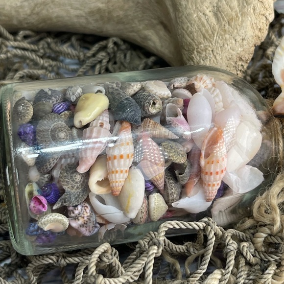 “Beach in a Bottle”  Seashells sand w Coral Shell Compass Wave Charms Nautical - Picture 14 of 16